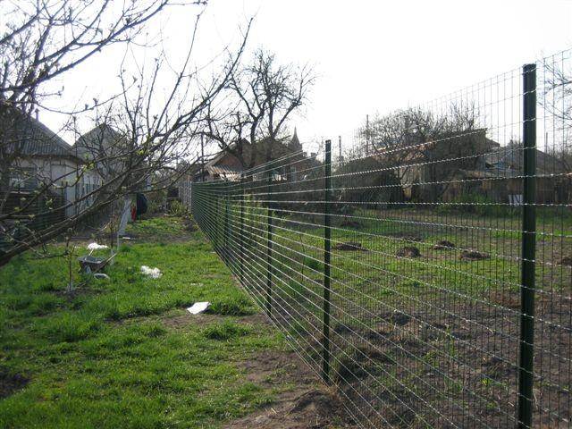 Забор из сварной сетки на даче