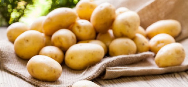Подготовка картофеля перед посадкой