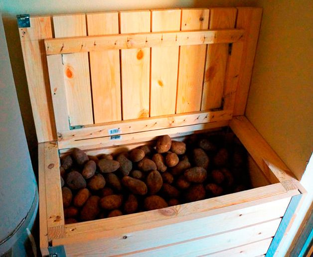Короб для хранения картофеля в погребе своими руками