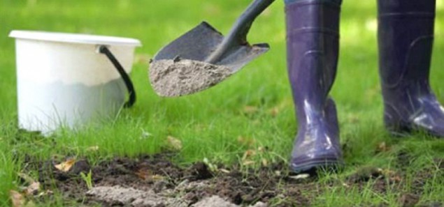 Как улучшить почву на участке?