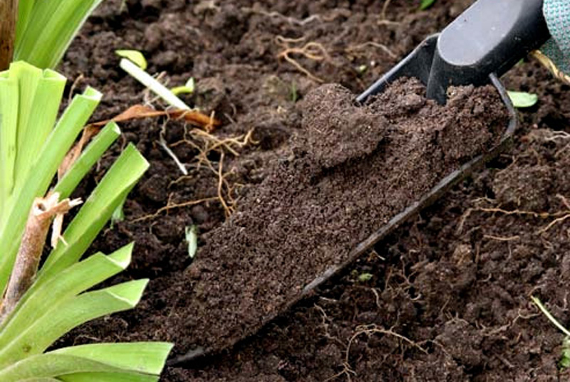 Как правильно улучшать почву на участке